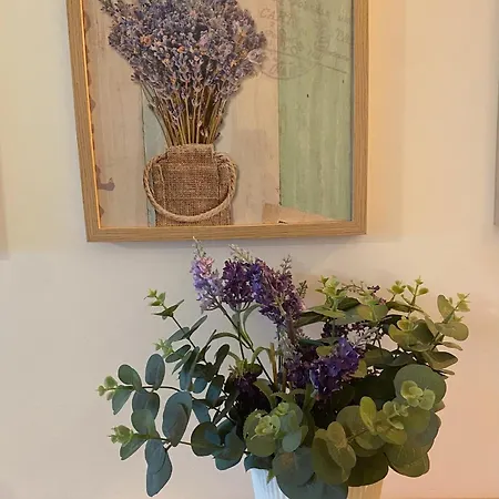 Excelstay - Balaia Διαμέρισμα Αλμπουφέιρα