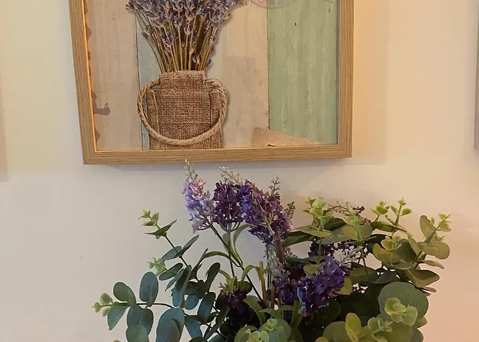 Excelstay - Balaia 公寓 阿尔布费拉